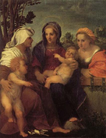 Andrea del Sarto Madonna and Child with St.Catherine oil painting picture